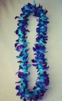 Single Blue Tinted Bombay Orchid Lei