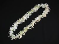 Single White Orchid Lei