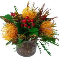 Sunset Protea