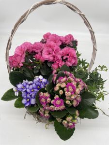 Spring Has Sprung Mixed Basket