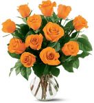 Dozen Long Stemmed Orange Roses